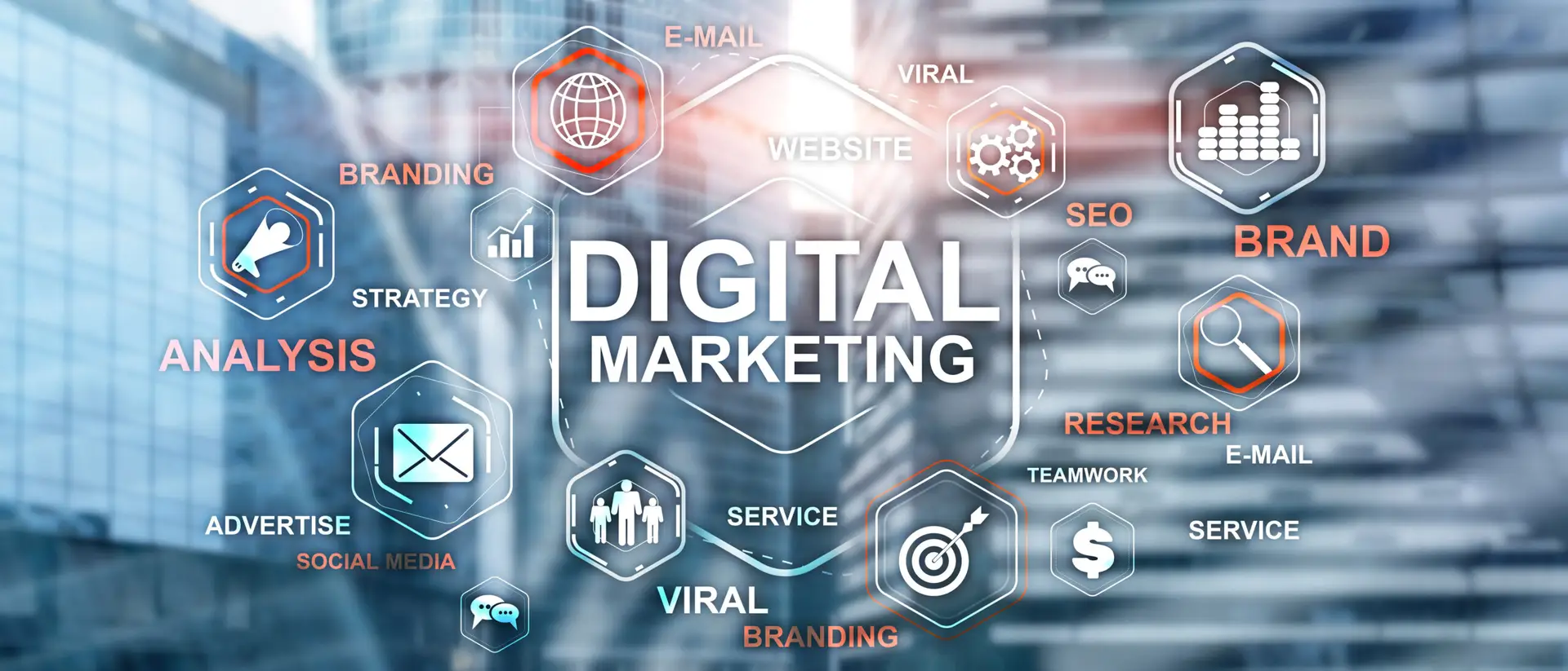 digital marketing agency in broward